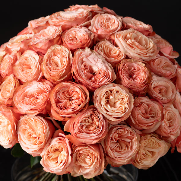 Kahala Rose Topiary
