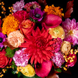 Dahlia