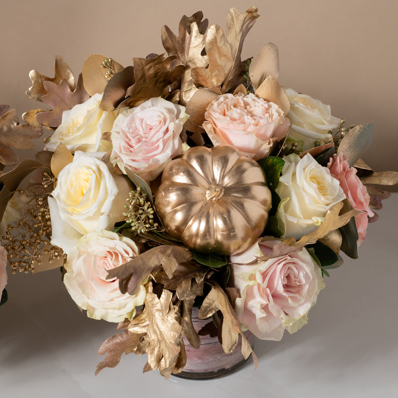 Abundance Trio in Blush