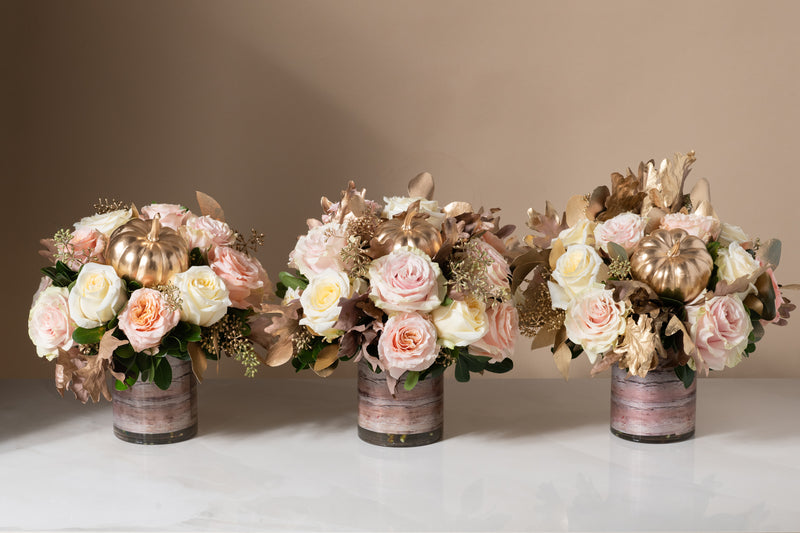 Abundance Trio in Blush