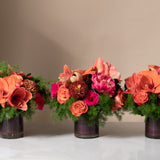 Abundance Trio in - Coral