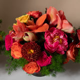 Abundance Trio in - Coral