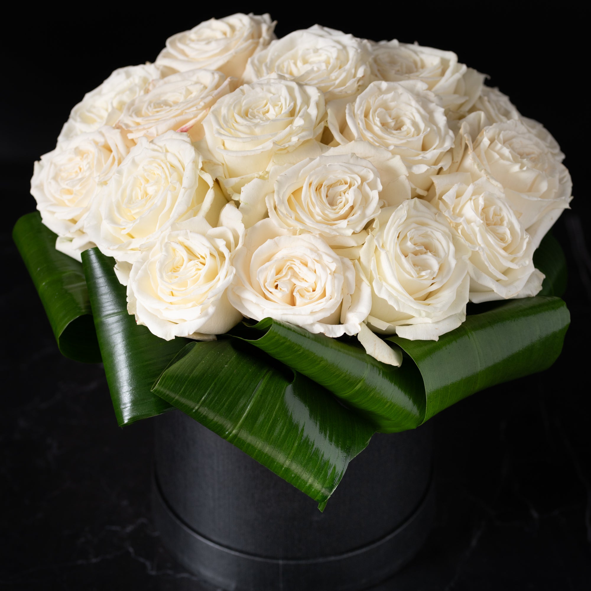 Close-up of velvety white roses in a modern hatbox, showcasing Bloom by Anuschka’s expert flower craft.
