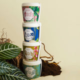 Robinia - Acacia Candle Refill
