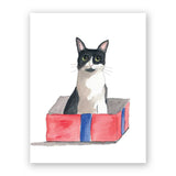Box Cat Birthday Greeting Card