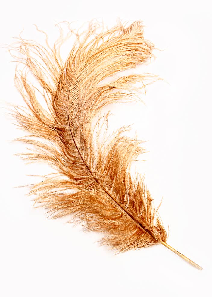NEW - GOLDEN FEATHER