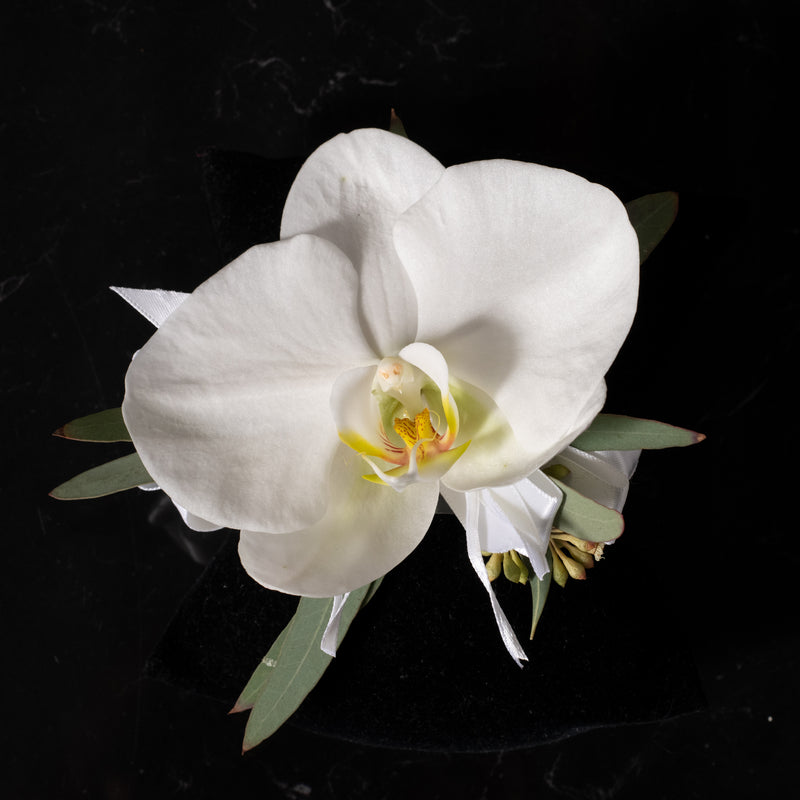 Modern Pure Boutonniere and Corsage