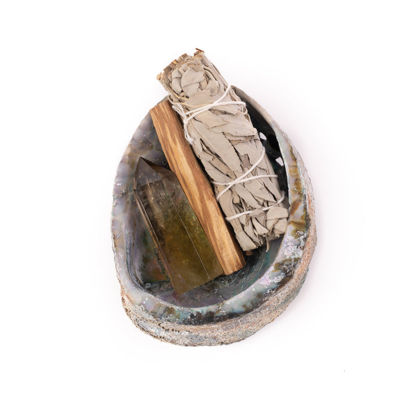 Green Abalone Shell