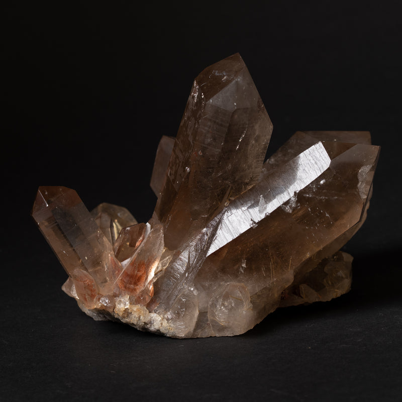 Gold Rutilated Smoky Quartz Cluster - 1.96 kg