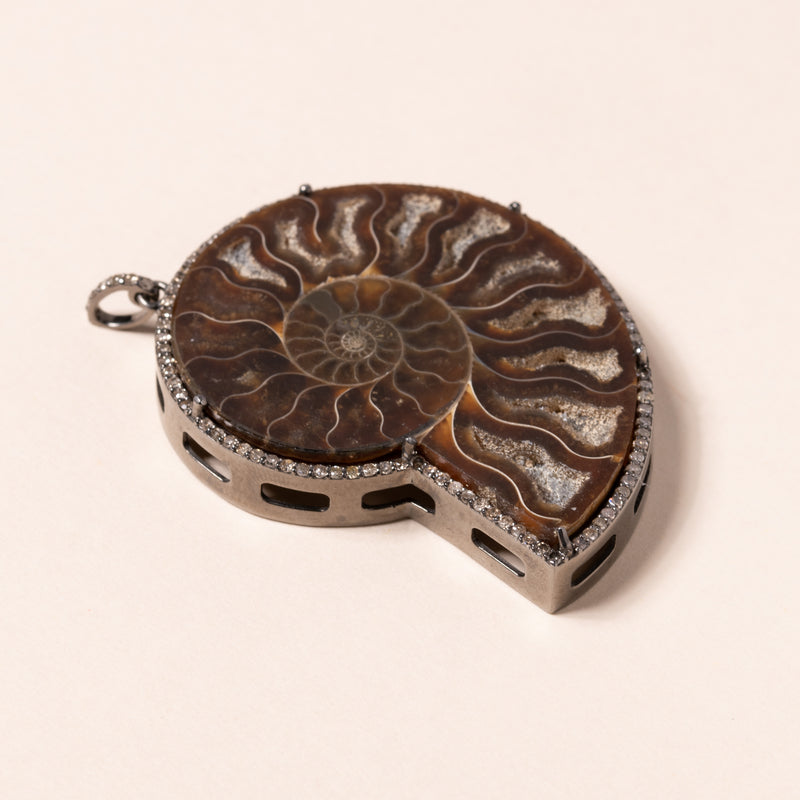 Ammonite Slice Pendant