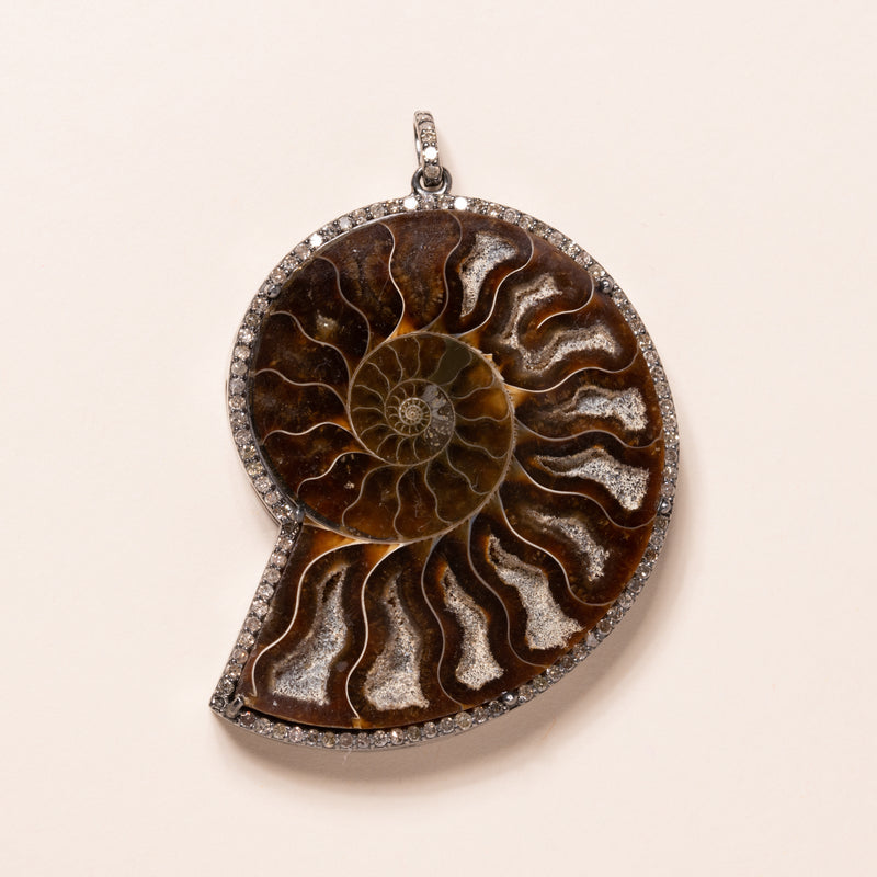 Ammonite Slice Pendant