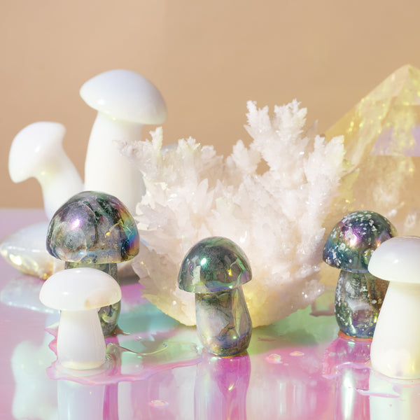 Aura Mushrooms
