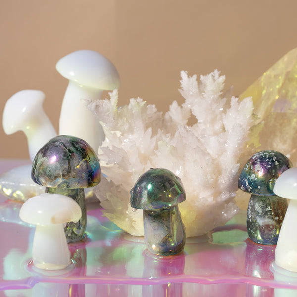 Aura Mushrooms