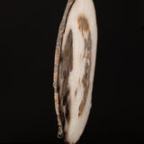 Agate Slice on Stand