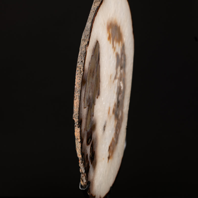 Agate Slice on Stand