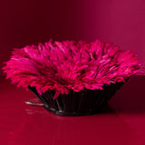 Feathered Decor