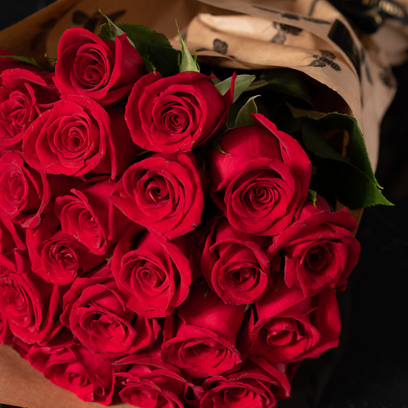 Rose Bundle