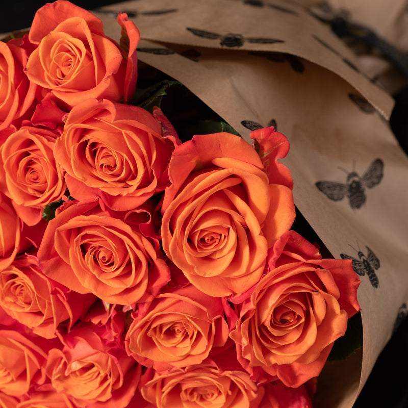 Rose Bundle