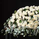 Full Casket - White