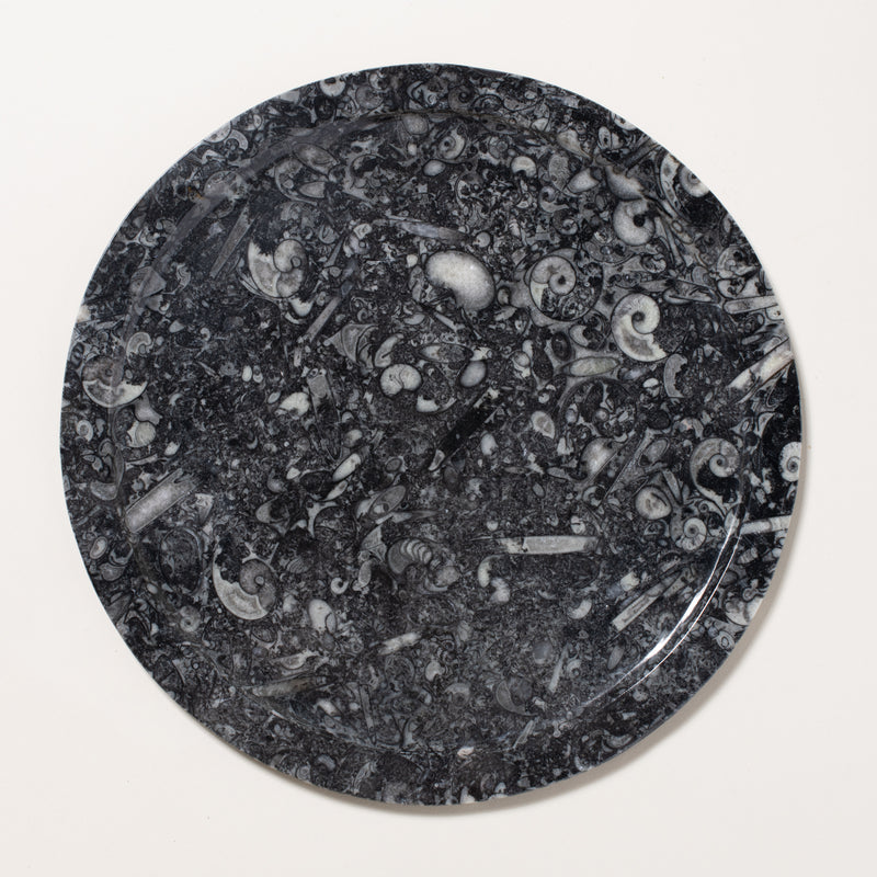 ammonite plate