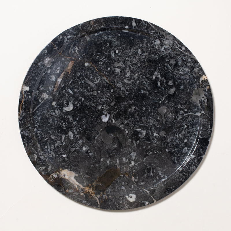 ammonite plate