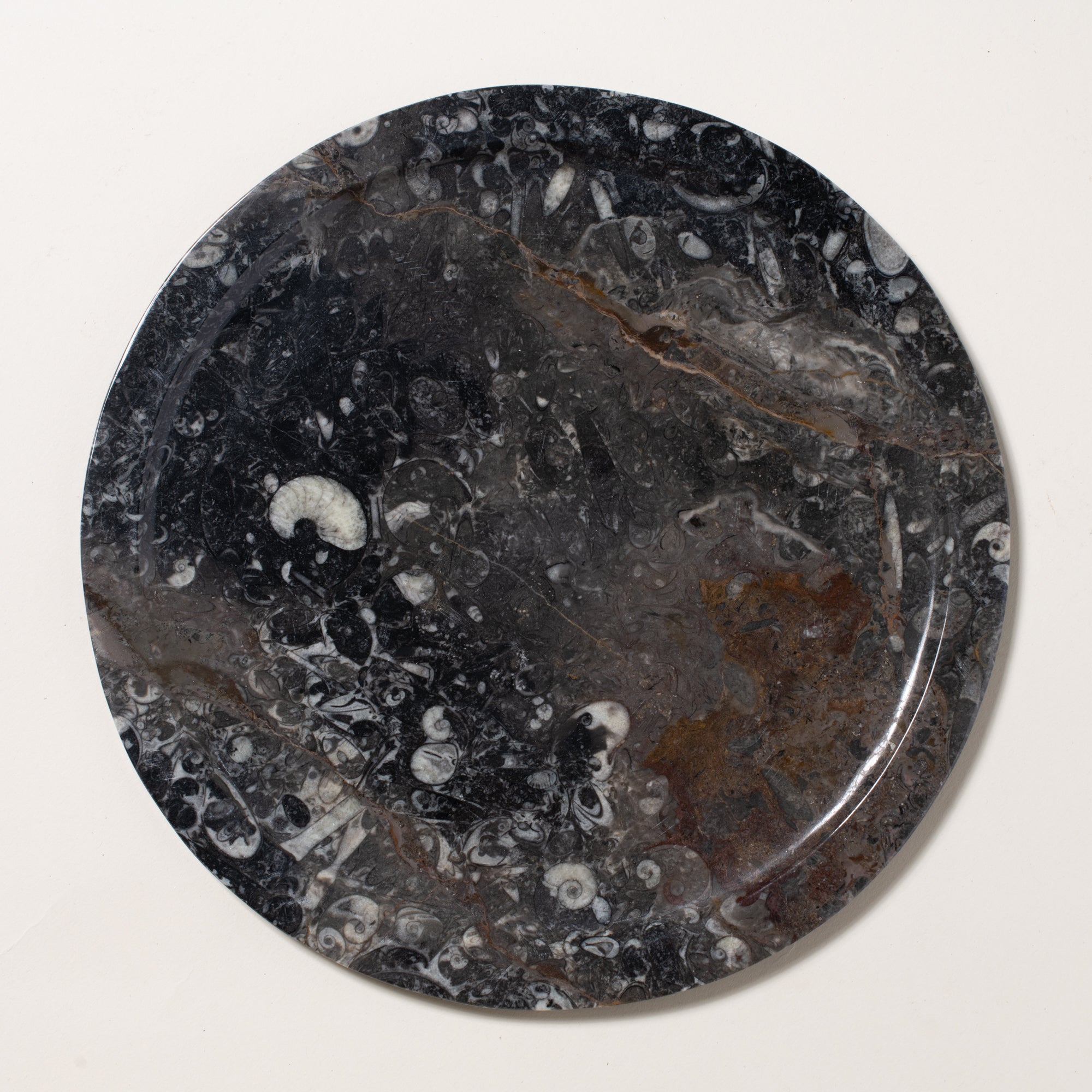 ammonite plate