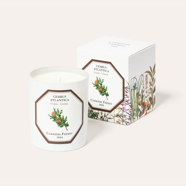 Cedrus Atlantica - Cedar Candle