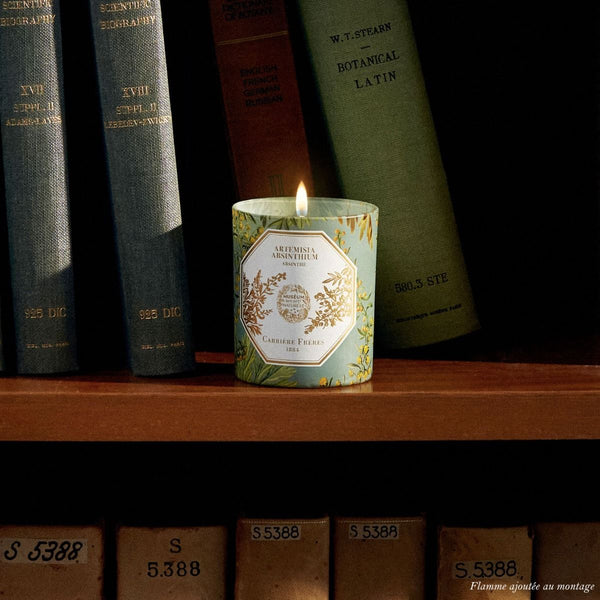 Artemisia Absinthium - Absinthe Candle