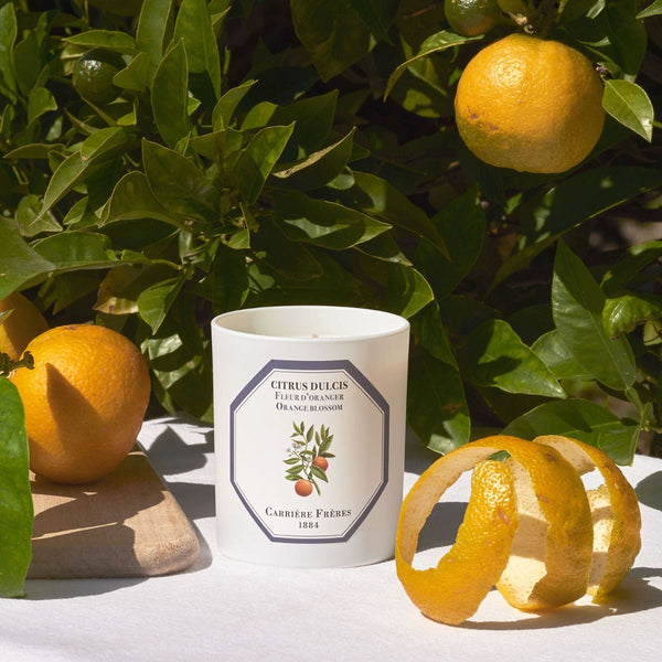 Citrus Dulcis - Orange Blossom Candle