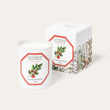 Lycopersicon Esculentum - Tomato Candle