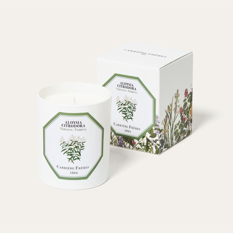 Aloysia Citrodora - Verbena Candle