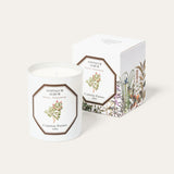 Santalum Album - Sandalwood Candle